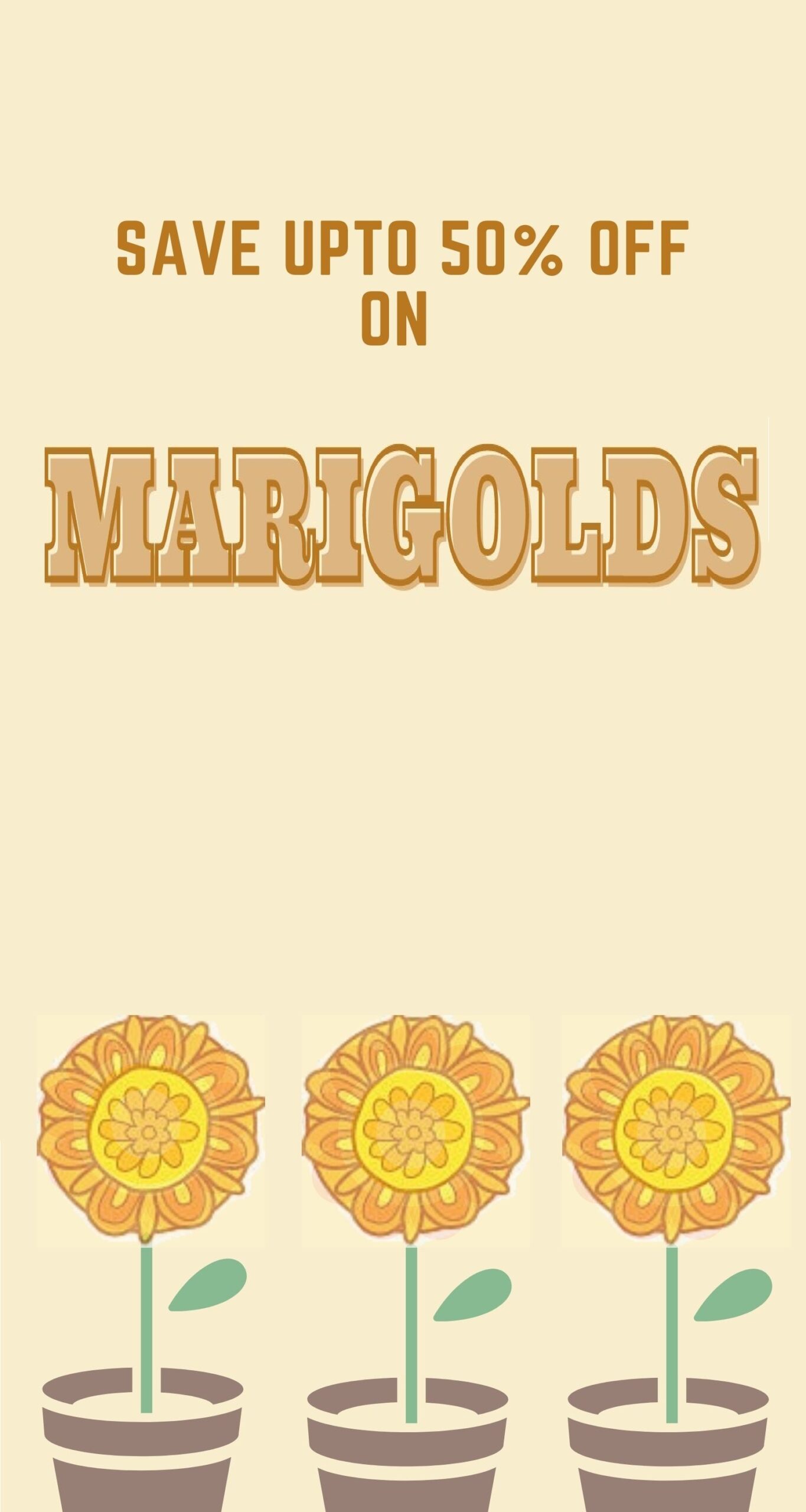 Marigold Flowers