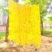 Yellow Marigold Garlands